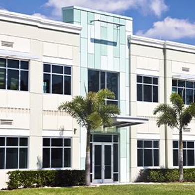 Commercial Pest Control